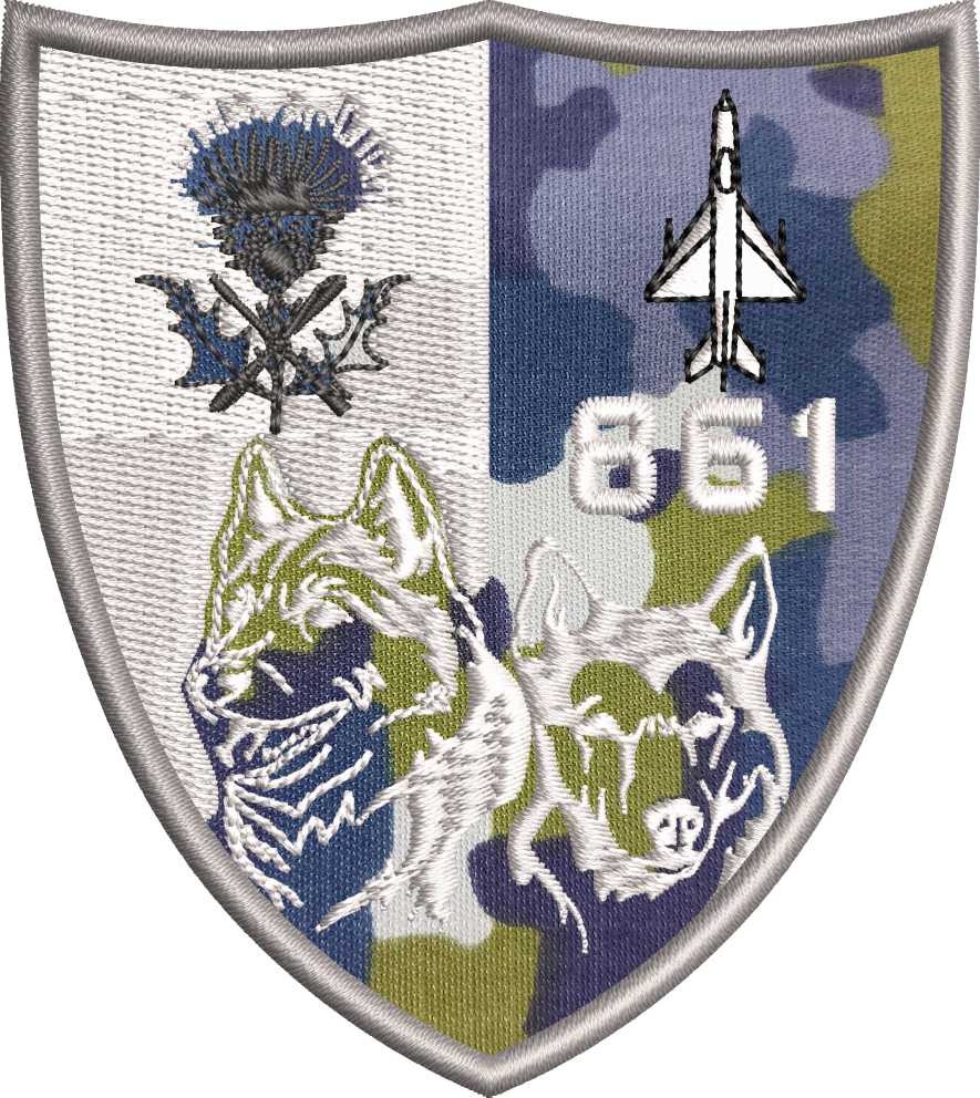 EMBLEMA ESCADRILA 861 / 2